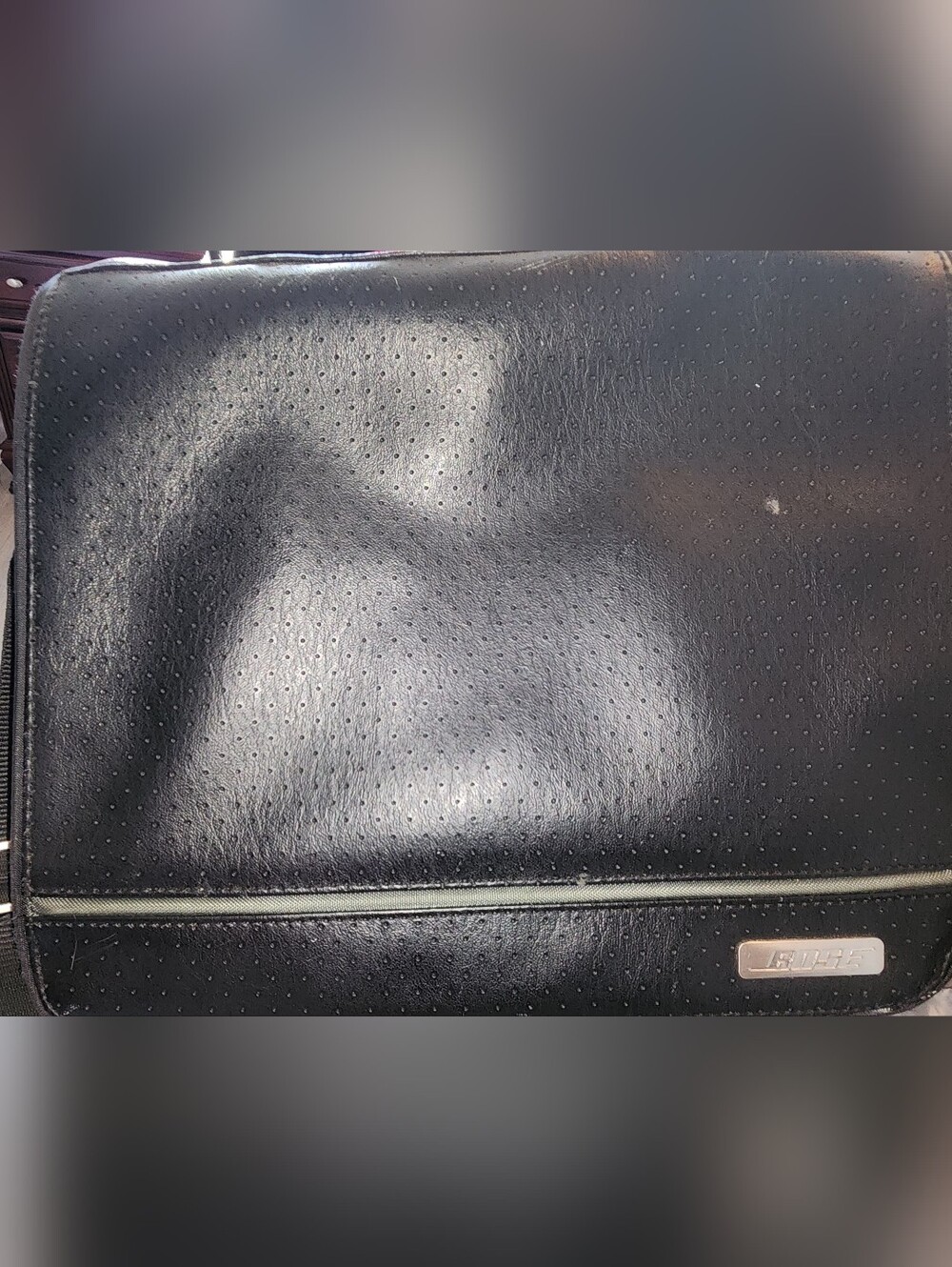 Bose carrying travel bag
